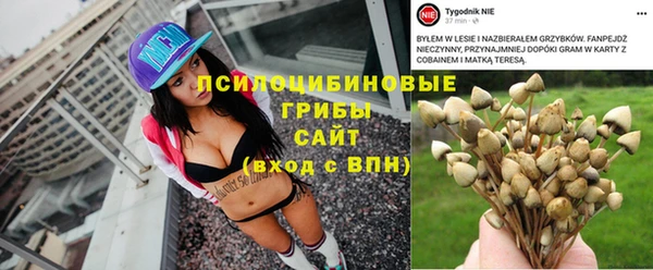скорость Козловка